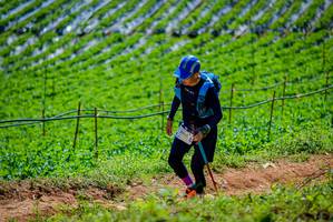 BIB: 
                            <button type="button" onclick="openModal(19164728)" class="btn btn-primary btn-sm float-right btn-popup" data-toggle="modal" data-target=".modal-high-quality">
                        <i class="fas fa-shopping-cart"></i> Add to Cart
                    </button>
                                            <button type="button" onclick="isThisMe(19164728, true)" class="btn btn-success btn-sm float-right btn-popup btn-isme hidden" data-toggle="tooltip" data-placement="bottom" title="นี่คือรูปของคุณใช่ไหม คลิกที่นี่เพื่อเอาเข้าอัลบั้ม">
                        <i class="fas fa-plus"></i> Add to album
                    </button>
                    <button type="button" onclick="isThisMe(19164728, false)" class="btn btn-warning btn-sm float-right btn-popup btn-isnotme hidden">
                        <i class="fas fa-ban"></i> Remove from album
                    </button>